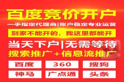 SEM服务案例：打造行业领先品牌